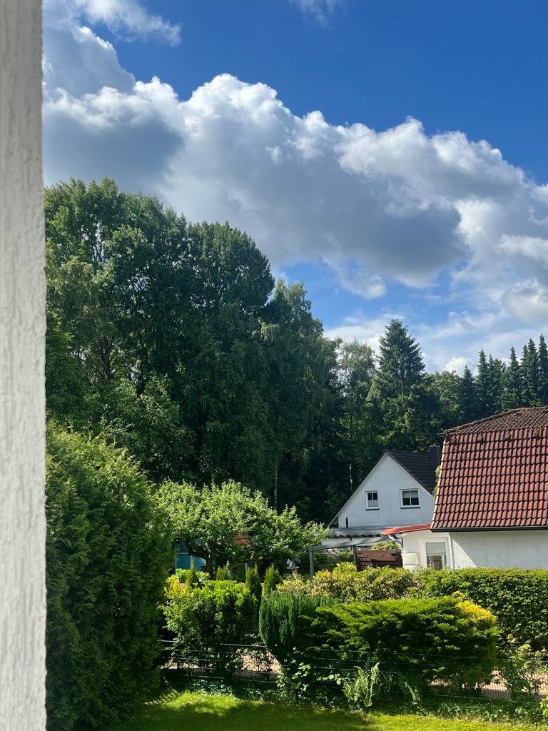 View from a kitchen window showing a lush garden with various green bushes and trees, a red-roofed house in the foreground, and a white house nestled among tall trees in the background under a bright blue sky with large fluffy clouds.
